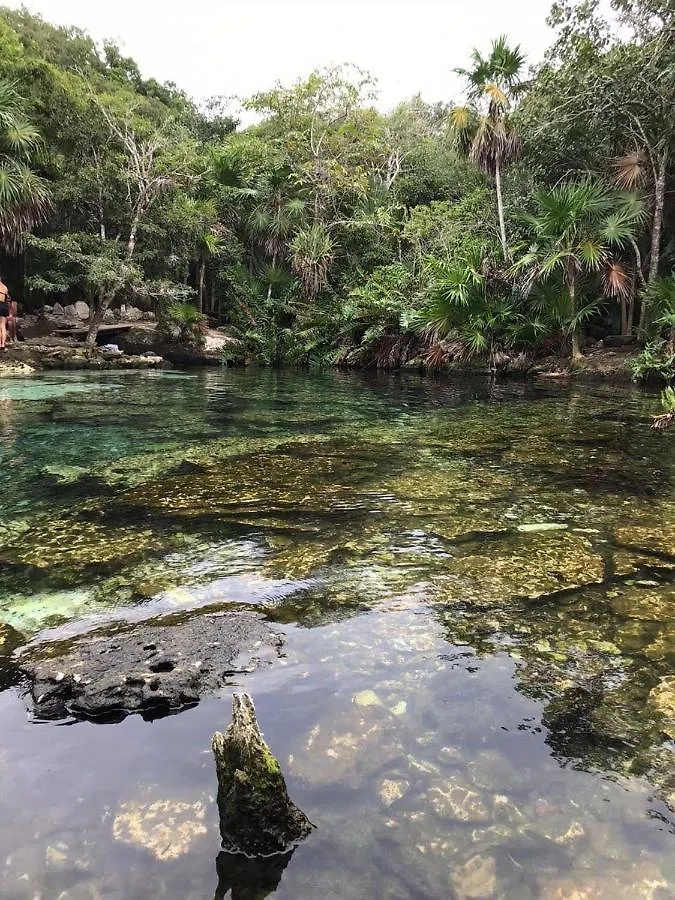 Villa Selvatica Con Piscina Privada En Playa Del Carmen